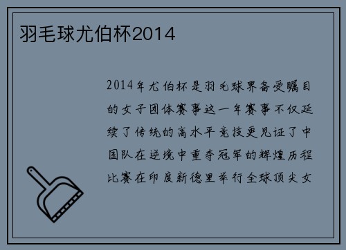 羽毛球尤伯杯2014
