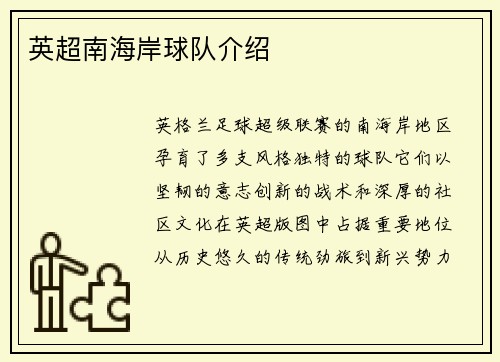 英超南海岸球队介绍